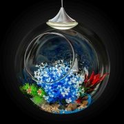 FT-19 Фитосветильник подвесной, светодиодный, Ø250мм, 3Вт, кабель 2м, серебряный